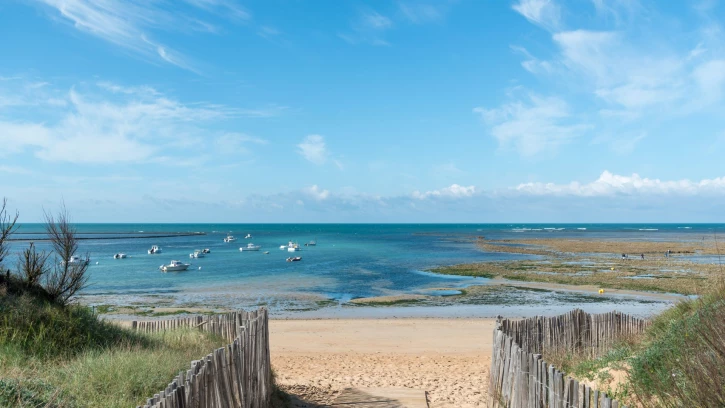 Programme neuf à SAINT-GEORGES-D'OLERON — illustration non contractuelle